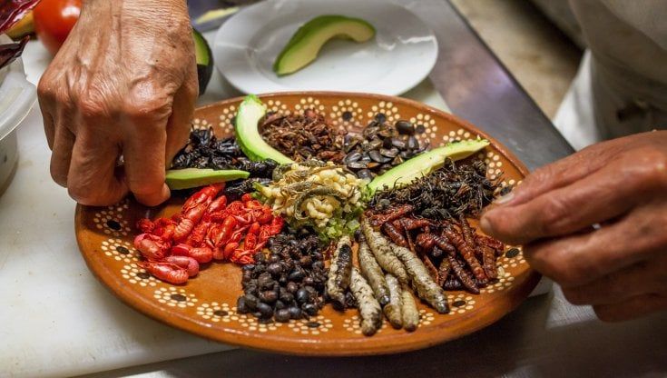 Gli insetti? Per una persona su due sono il cibo del futuro