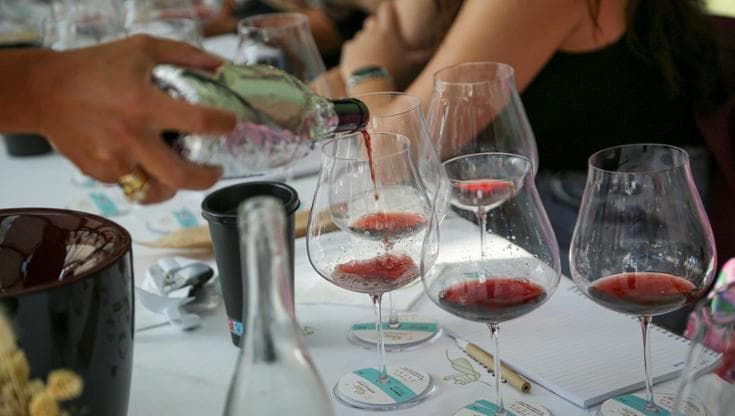 Il Barolo a Serralunga cambia ritmo: il 2023 si beve già, ma non rinuncia al tempo
