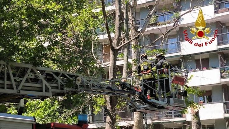 Vento forte in Lombardia: a Milano raffiche fino a 80 km/h. Alberi caduti e tram deviati