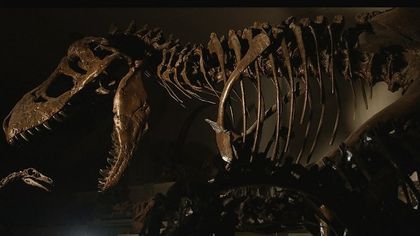'Dinosaurs', sulle tracce dei giganti estinti: l'avventura dei fossili dagli scavi al museo