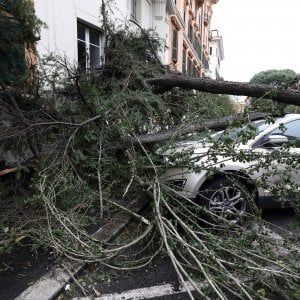 Maltempo: un morto nel Bresciano, alberi caduti e allagamenti a Milano