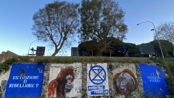Palermo, a piazza Indipendenza il murale denuncia sull'emergenza climatica