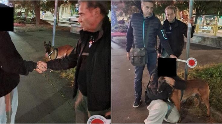 Cane di razza smarrito, una coppia chiede mille euro di riscatto per restituirlo: denunciata