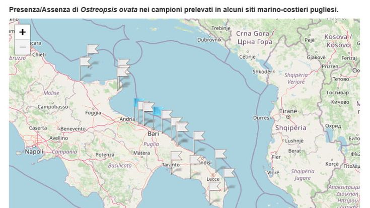 Alga tossica, in Puglia prime lievi presenze a Bari (zona Trullo) e Bisceglie. Il resto è ok