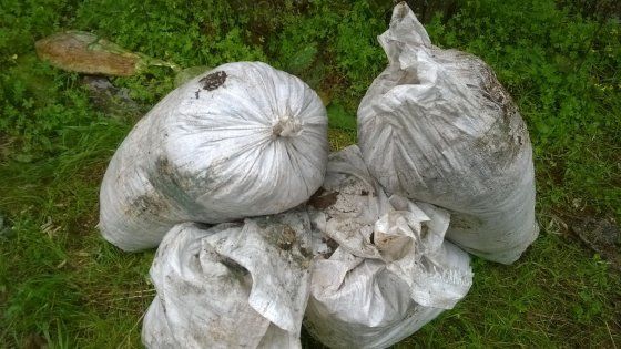 Lecce, oltre duecento chili di cibo per i poveri lasciato marcire in campagna: scatta l'inchiesta