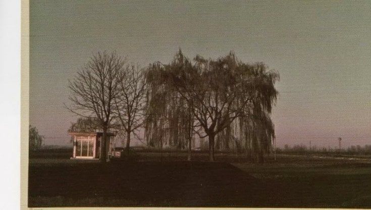 A Palazzo del Governatore una grande mostra dedicata a Luigi Ghirri
