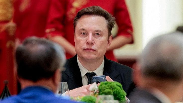 Elon Musk difende Mario Roggero: “Pazzesco, andrebbero condannati giudice e pm”