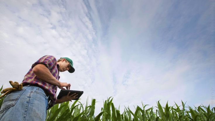 Com'è hi-tech il campo del futuro