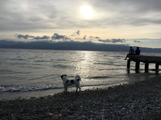 Giornata mondiale dell'ambiente, le vostre foto / 5