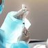 Pandemie, Ue e Usa non sottoscrivono dichiarazione Onu per solidarietà vaccinale. Anche l'Italia tra gli astenuti