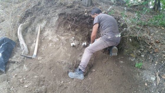 Foggia, ritrovati resti umani nelle campagne di Ascoli Satriano