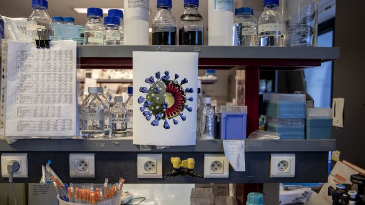 Contro  i No Vax non c'è vaccino