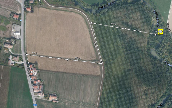 Pianta cannabis sul greto della Parma: denunciato