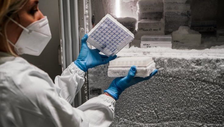 Lo studio della Bicocca: un algoritmo per stabilire chi potrà fare per primo il vaccino contro il Covid