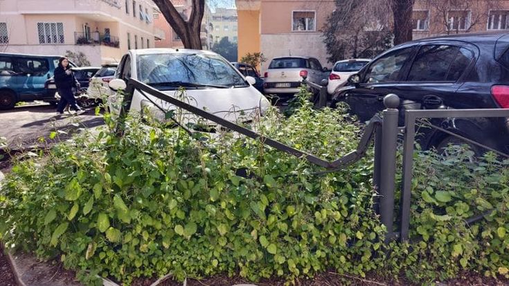 Dalla Colombo alla Casilina, il verde invade Roma. Ama accelera e mette in campo 300 tosaerba