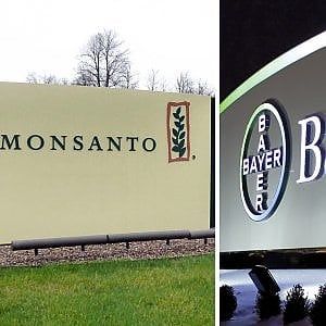 Ok (condizionato) della Ue alle nozze tra Bayer e Monsanto