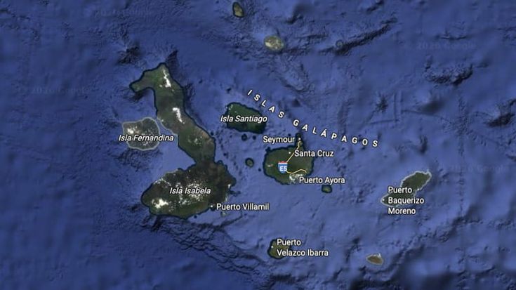Ciao Darwin, tutti i mali delle Galápagos