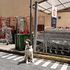 Le famiglie italiane spendono 2.571 euro al mese. Quelle 