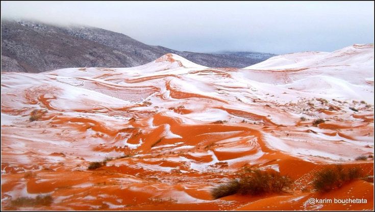 Algeria, neve sul deserto del Sahara: non accadeva da 37 anni