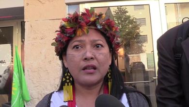 Il Papa convoca un Sinodo per l'Amazzonia, i popoli Indios: "Lottiamo per sopravvivere con la nostra foresta"
