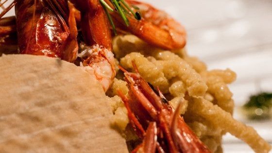 Passatelli bolognesi con gamberi rossi, lardo di Colonnata e timo limone 