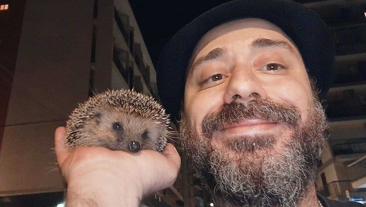 Bari, un piccolo riccio entra nel pub: messo in salvo e portato nel parco Gargasole. "Nel quartiere se ne vedono molti"