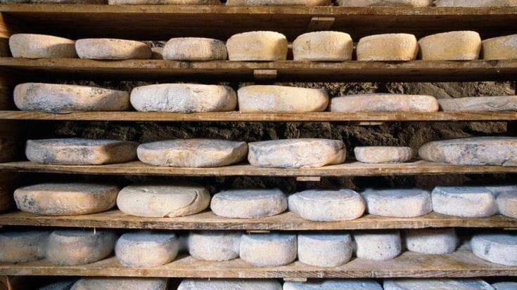 Formaggi a latte crudo: quando sono sicuri. E intanto la legge sulle etichette è ferma da 2 anni