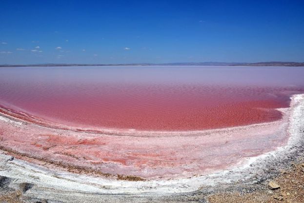 Turchia, il lago salato si tinge di rosso 
