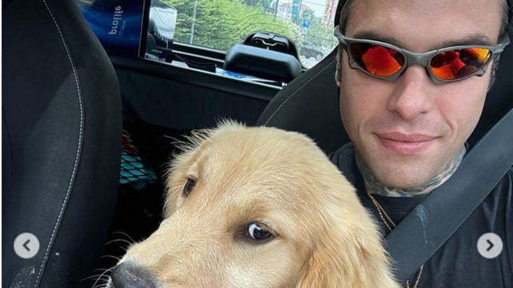 Fedez rompe il silenzio social: le foto con un cane uguale a quello di Chiara Ferragni