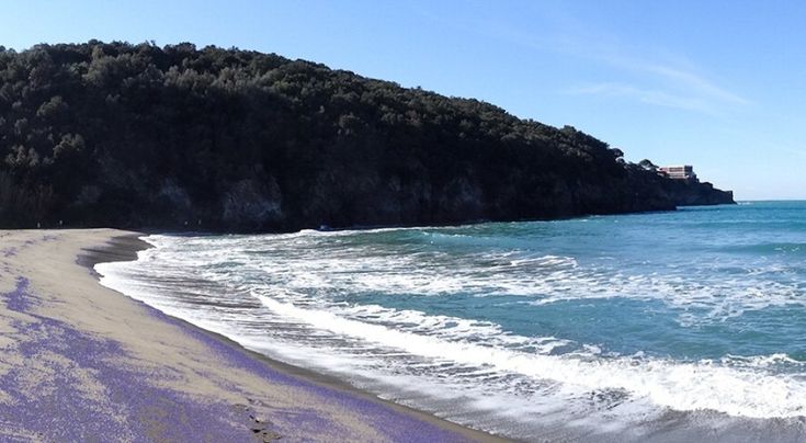 Ischia, mille sfumature di blu in spiaggia: sono le meduse
