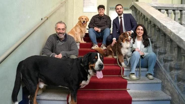 Con il cane in ufficio, al Comune di Corsico l'esperimento che funziona: “Così migliora la vita”