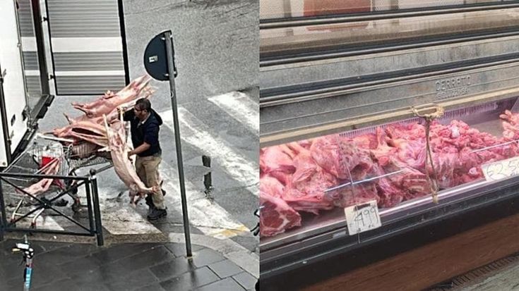 Il contrabbandiere di pancetta e il macellaio furbetto: i vigili urbani distruggono 300 chili di carne avariata al mercato Esquilino