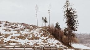 Vivere dopo la tempesta, Vaia raccontata per immagini