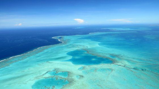 Una vacanza in paradiso