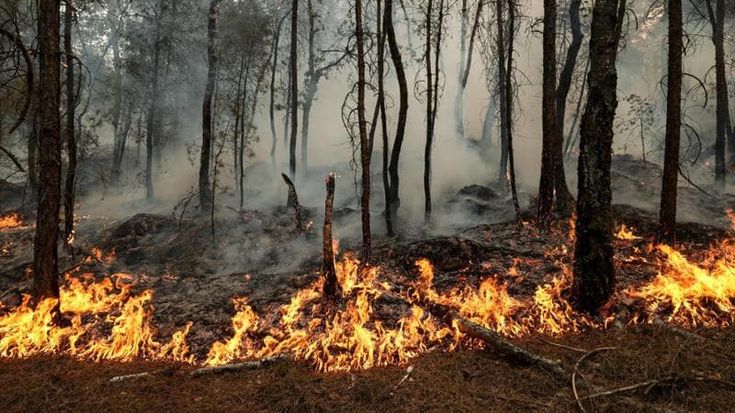 Caldo: 10mila le vittime in Europa. Attesi 40 gradi in Italia e giovedì 15 città con bollino rosso