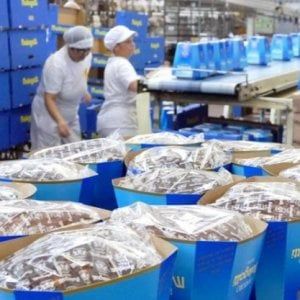 Melegatti, il tribunale dice no alle colombe di Pasqua