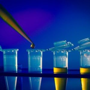 Mieloma multiplo, con tre farmaci si riduce del 46% il rischio di mortalità