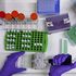 Pfizer studia offerta d'oro per AstraZeneca