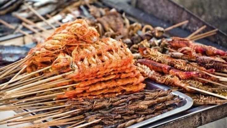 Novità a tavola, ma la cimice no