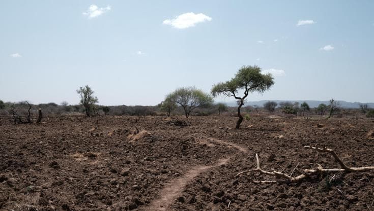 Il caldo sfianca gli agricoltori “Irrighiamo sempre di più. La Regione aiuti con il gasolio”