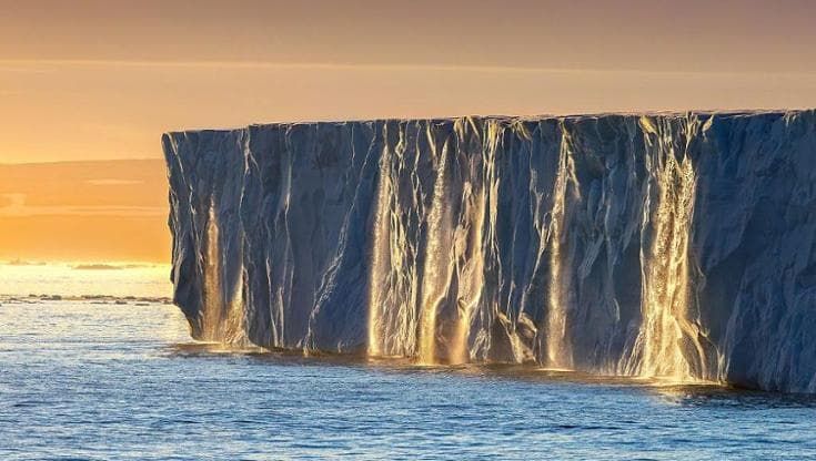 Affondare gli alberi nell’Oceano Artico potrebbe ridurre i livelli di CO2 nell’atmosfera