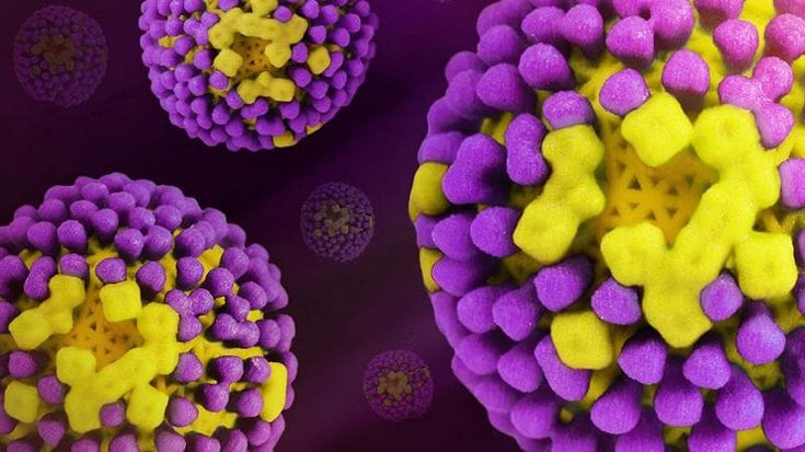 Influenza, la campagna vaccinale punta a coprire 2,8 milioni di lombardi