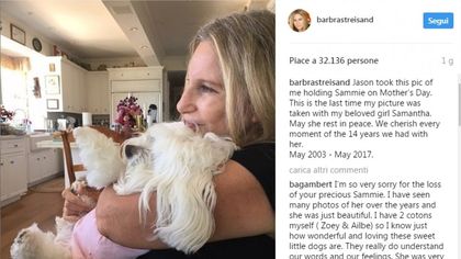 Il dolore di Barbra Streisand per la morte del cane Samantha: 