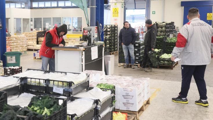 “Così clima e crisi energetica cambiano la produzione di ortofrutta”