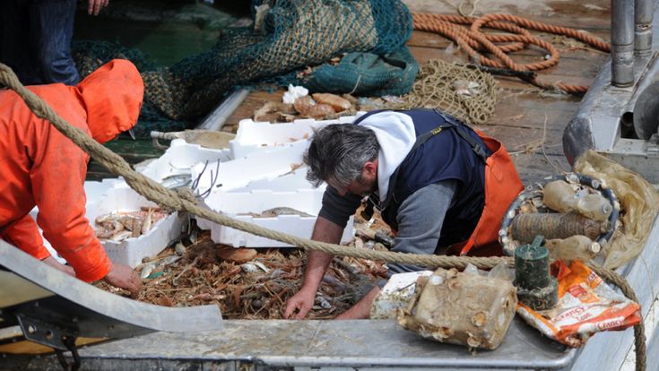 Livorno, a bordo della barca Anastasia per "pescare" la plastica dal mare