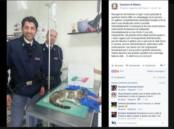 Matera, tutti pazzi per il gattino salvato dalla polizia
