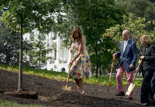 Usa, gonna Valentino e tacchi a spillo per piantare una quercia: il Melania-style divide