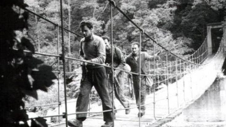 Nasce il Cap, Circuito audivisivo Piemonte: promuoverà i film piemontesi in 40 sale locali