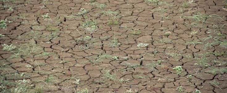 La Terra sta diventando una serra: rischio +4-5 gradi anche se tagliamo le emissioni