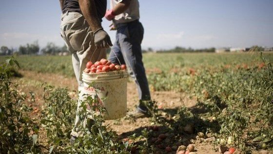 Foggia, sassaiola contro immigrati che andavano al lavoro in bici: 3 feriti. E' il secondo agguato